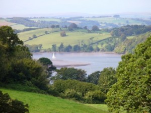 COUNTRYSIDE-RIVER-DART-300x224