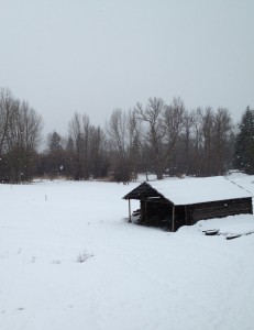 cabin in the snow